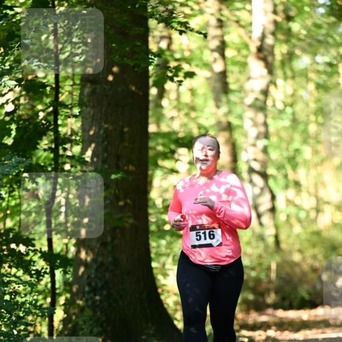 06.10.2024 - Bramfelder Halbmarathon 2024 Dr. Thomas Lammeyer http://msf.ph/oto/7339464 06.10.2024 10:33:08 Laufen 516, 127 meine-sportfotos.de