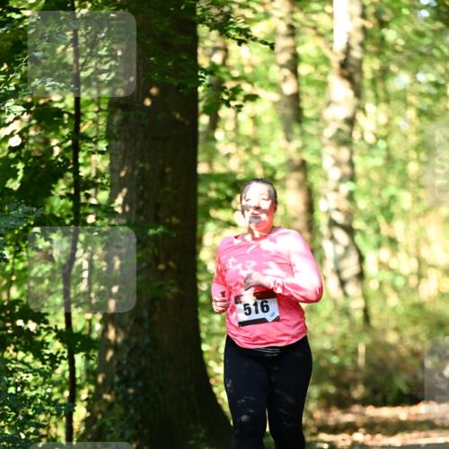 06.10.2024 - Bramfelder Halbmarathon 2024 Dr. Thomas Lammeyer http://msf.ph/oto/7339465 06.10.2024 10:33:08 Laufen 516, 127 meine-sportfotos.de