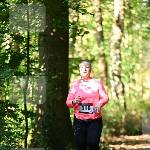 06.10.2024 - Bramfelder Halbmarathon 2024 Dr. Thomas Lammeyer http://msf.ph/oto/7339466 06.10.2024 10:33:08 Laufen 516, 127 meine-sportfotos.de