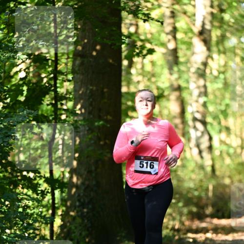 06.10.2024 - Bramfelder Halbmarathon 2024 Dr. Thomas Lammeyer http://msf.ph/oto/7339467 06.10.2024 10:33:08 Laufen 516, 127 meine-sportfotos.de