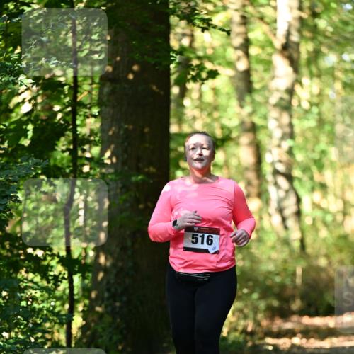 06.10.2024 - Bramfelder Halbmarathon 2024 Dr. Thomas Lammeyer http://msf.ph/oto/7339468 06.10.2024 10:33:08 Laufen 516 meine-sportfotos.de