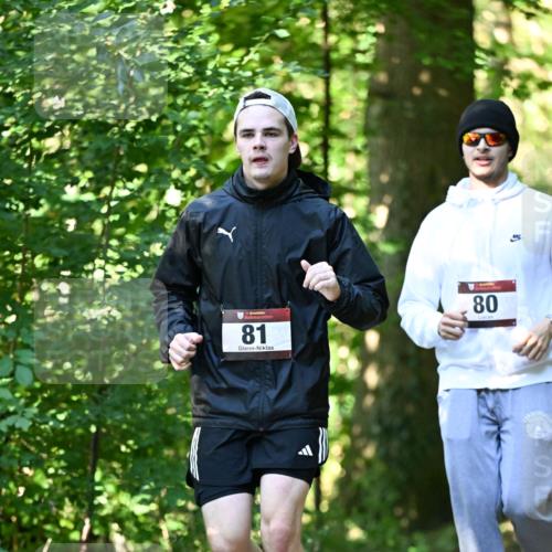 06.10.2024 - Bramfelder Halbmarathon 2024 Dr. Thomas Lammeyer http://msf.ph/oto/7339498 06.10.2024 10:33:45 Laufen 81, 80 meine-sportfotos.de