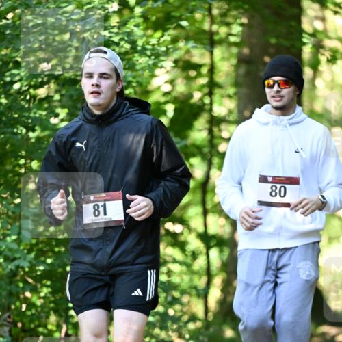 06.10.2024 - Bramfelder Halbmarathon 2024 Dr. Thomas Lammeyer http://msf.ph/oto/7339501 06.10.2024 10:33:45 Laufen 81, 80 meine-sportfotos.de