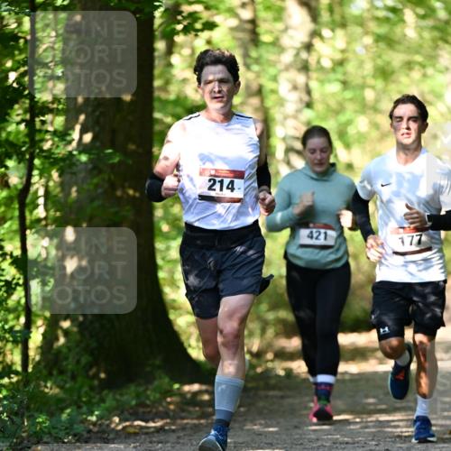 06.10.2024 - Bramfelder Halbmarathon 2024 Dr. Thomas Lammeyer http://msf.ph/oto/7339531 06.10.2024 10:34:25 Laufen 214, 421, 177 meine-sportfotos.de