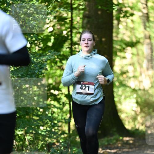 06.10.2024 - Bramfelder Halbmarathon 2024 Dr. Thomas Lammeyer http://msf.ph/oto/7339541 06.10.2024 10:34:28 Laufen 421 meine-sportfotos.de