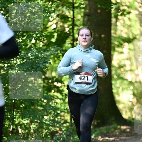 06.10.2024 - Bramfelder Halbmarathon 2024 Dr. Thomas Lammeyer http://msf.ph/oto/7339542 06.10.2024 10:34:29 Laufen 421 meine-sportfotos.de