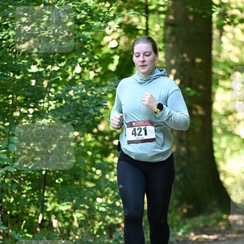 06.10.2024 - Bramfelder Halbmarathon 2024 Dr. Thomas Lammeyer http://msf.ph/oto/7339544 06.10.2024 10:34:29 Laufen 421 meine-sportfotos.de