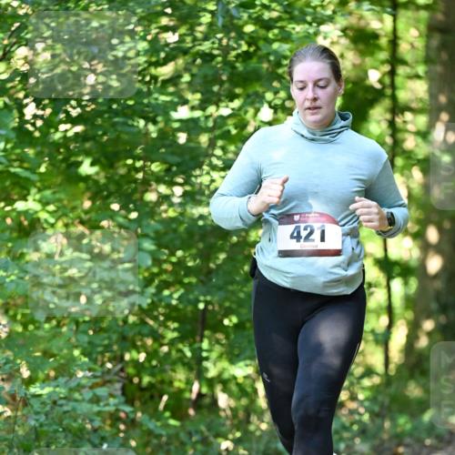 06.10.2024 - Bramfelder Halbmarathon 2024 Dr. Thomas Lammeyer http://msf.ph/oto/7339548 06.10.2024 10:34:29 Laufen 421 meine-sportfotos.de