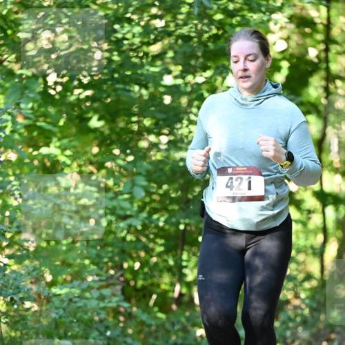 06.10.2024 - Bramfelder Halbmarathon 2024 Dr. Thomas Lammeyer http://msf.ph/oto/7339549 06.10.2024 10:34:30 Laufen 421 meine-sportfotos.de