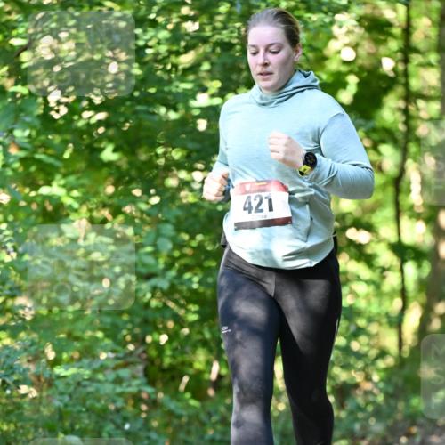 06.10.2024 - Bramfelder Halbmarathon 2024 Dr. Thomas Lammeyer http://msf.ph/oto/7339550 06.10.2024 10:34:30 Laufen 421 meine-sportfotos.de