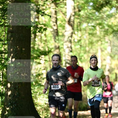 06.10.2024 - Bramfelder Halbmarathon 2024 Dr. Thomas Lammeyer http://msf.ph/oto/7339551 06.10.2024 10:34:40 Laufen 250, 403 meine-sportfotos.de