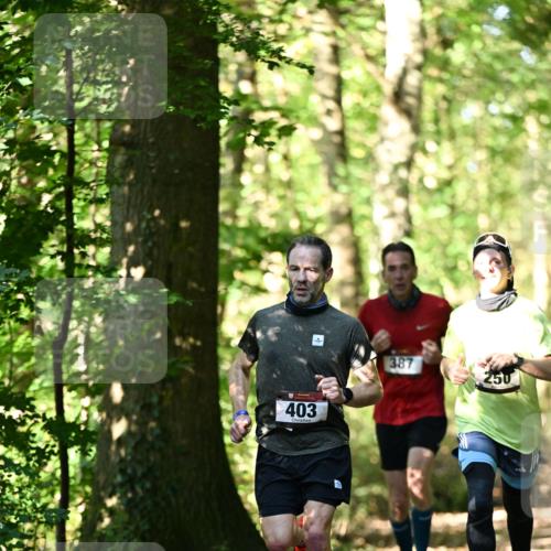 06.10.2024 - Bramfelder Halbmarathon 2024 Dr. Thomas Lammeyer http://msf.ph/oto/7339554 06.10.2024 10:34:40 Laufen 403, 387 meine-sportfotos.de