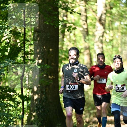 06.10.2024 - Bramfelder Halbmarathon 2024 Dr. Thomas Lammeyer http://msf.ph/oto/7339555 06.10.2024 10:34:40 Laufen 403, 387, 250 meine-sportfotos.de