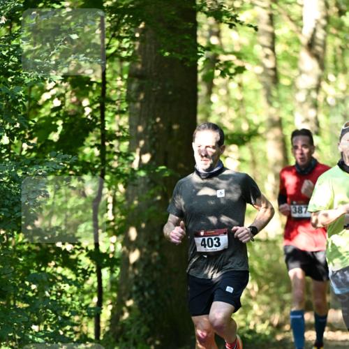 06.10.2024 - Bramfelder Halbmarathon 2024 Dr. Thomas Lammeyer http://msf.ph/oto/7339557 06.10.2024 10:34:41 Laufen 403, 387 meine-sportfotos.de