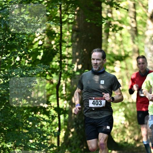 06.10.2024 - Bramfelder Halbmarathon 2024 Dr. Thomas Lammeyer http://msf.ph/oto/7339559 06.10.2024 10:34:41 Laufen 403 meine-sportfotos.de