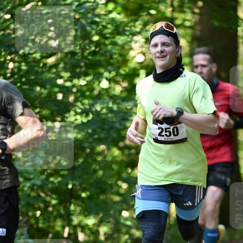 06.10.2024 - Bramfelder Halbmarathon 2024 Dr. Thomas Lammeyer http://msf.ph/oto/7339568 06.10.2024 10:34:43 Laufen 250 meine-sportfotos.de