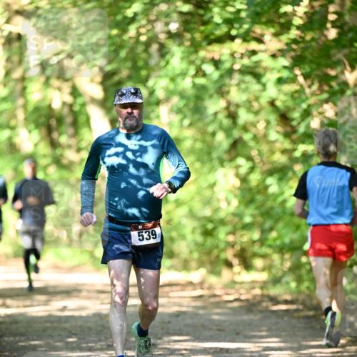 06.10.2024 - Bramfelder Halbmarathon 2024 Dr. Thomas Lammeyer http://msf.ph/oto/7339577 06.10.2024 10:35:23 Laufen 539 meine-sportfotos.de