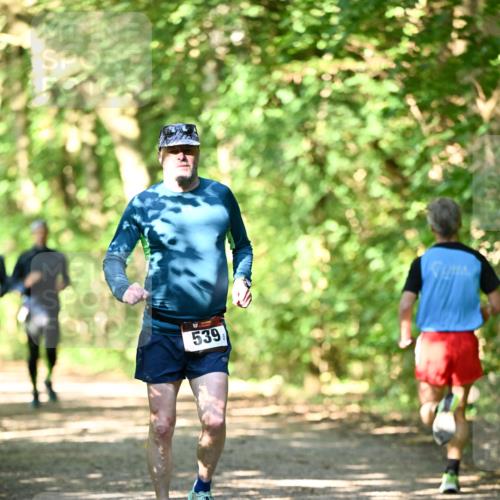 06.10.2024 - Bramfelder Halbmarathon 2024 Dr. Thomas Lammeyer http://msf.ph/oto/7339578 06.10.2024 10:35:23 Laufen 539 meine-sportfotos.de