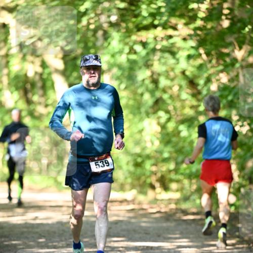06.10.2024 - Bramfelder Halbmarathon 2024 Dr. Thomas Lammeyer http://msf.ph/oto/7339579 06.10.2024 10:35:23 Laufen 539 meine-sportfotos.de