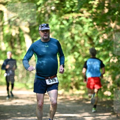 06.10.2024 - Bramfelder Halbmarathon 2024 Dr. Thomas Lammeyer http://msf.ph/oto/7339583 06.10.2024 10:35:24 Laufen 539 meine-sportfotos.de