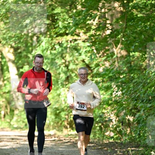 06.10.2024 - Bramfelder Halbmarathon 2024 Dr. Thomas Lammeyer http://msf.ph/oto/7339612 06.10.2024 10:36:03 Laufen 385, 392 meine-sportfotos.de