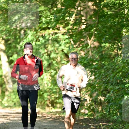06.10.2024 - Bramfelder Halbmarathon 2024 Dr. Thomas Lammeyer http://msf.ph/oto/7339617 06.10.2024 10:36:03 Laufen 385, 392 meine-sportfotos.de