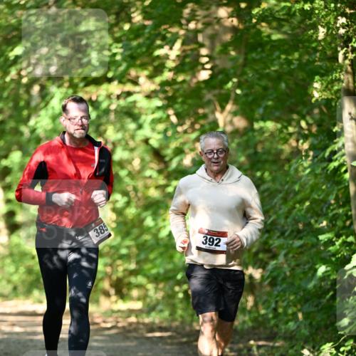 06.10.2024 - Bramfelder Halbmarathon 2024 Dr. Thomas Lammeyer http://msf.ph/oto/7339624 06.10.2024 10:36:04 Laufen 385, 392 meine-sportfotos.de