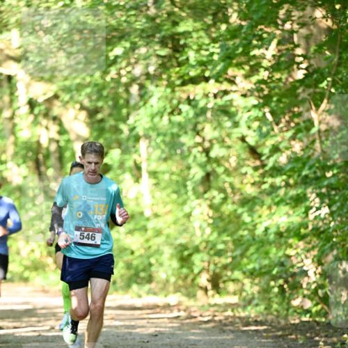 06.10.2024 - Bramfelder Halbmarathon 2024 Dr. Thomas Lammeyer http://msf.ph/oto/7339642 06.10.2024 10:36:15 Laufen 131, 546 meine-sportfotos.de
