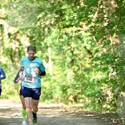06.10.2024 - Bramfelder Halbmarathon 2024 Dr. Thomas Lammeyer http://msf.ph/oto/7339644 06.10.2024 10:36:15 Laufen 546 meine-sportfotos.de