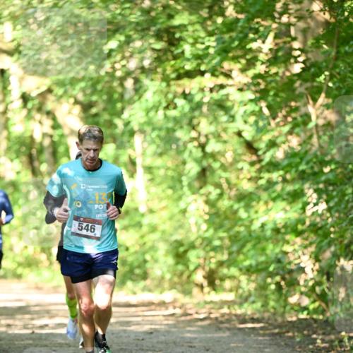 06.10.2024 - Bramfelder Halbmarathon 2024 Dr. Thomas Lammeyer http://msf.ph/oto/7339645 06.10.2024 10:36:15 Laufen 13, 546 meine-sportfotos.de
