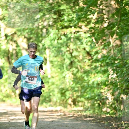 06.10.2024 - Bramfelder Halbmarathon 2024 Dr. Thomas Lammeyer http://msf.ph/oto/7339646 06.10.2024 10:36:15 Laufen 546 meine-sportfotos.de
