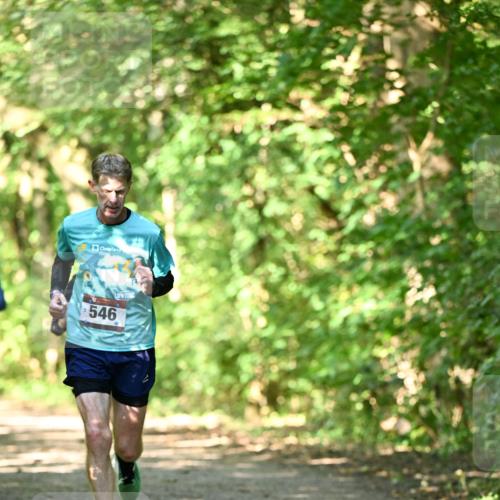 06.10.2024 - Bramfelder Halbmarathon 2024 Dr. Thomas Lammeyer http://msf.ph/oto/7339649 06.10.2024 10:36:16 Laufen 546 meine-sportfotos.de