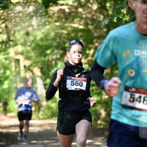 06.10.2024 - Bramfelder Halbmarathon 2024 Dr. Thomas Lammeyer http://msf.ph/oto/7339656 06.10.2024 10:36:19 Laufen 560, 546 meine-sportfotos.de