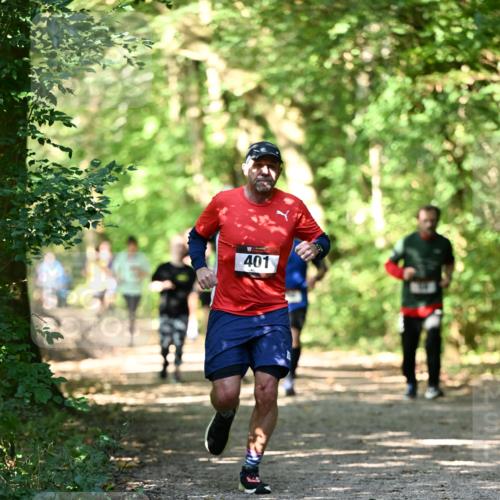 06.10.2024 - Bramfelder Halbmarathon 2024 Dr. Thomas Lammeyer http://msf.ph/oto/7339684 06.10.2024 10:36:37 Laufen 401 meine-sportfotos.de