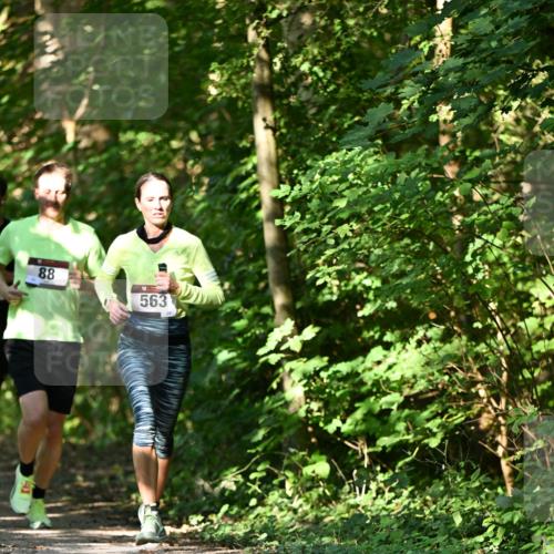 06.10.2024 - Bramfelder Halbmarathon 2024 Dr. Thomas Lammeyer http://msf.ph/oto/7339716 06.10.2024 10:36:47 Laufen 88, 563 meine-sportfotos.de
