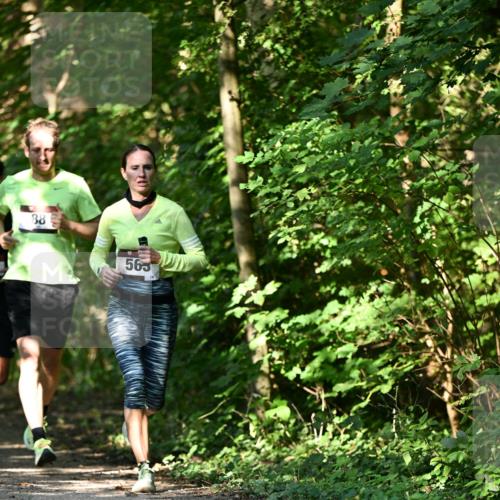 06.10.2024 - Bramfelder Halbmarathon 2024 Dr. Thomas Lammeyer http://msf.ph/oto/7339717 06.10.2024 10:36:47 Laufen 88, 563 meine-sportfotos.de
