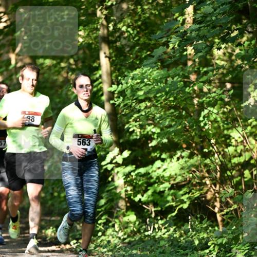 06.10.2024 - Bramfelder Halbmarathon 2024 Dr. Thomas Lammeyer http://msf.ph/oto/7339720 06.10.2024 10:36:47 Laufen 57, 88, 563 meine-sportfotos.de