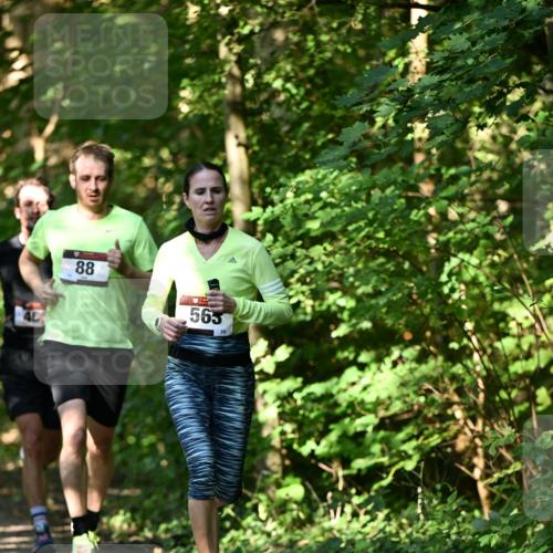 06.10.2024 - Bramfelder Halbmarathon 2024 Dr. Thomas Lammeyer http://msf.ph/oto/7339722 06.10.2024 10:36:48 Laufen 88, 563 meine-sportfotos.de