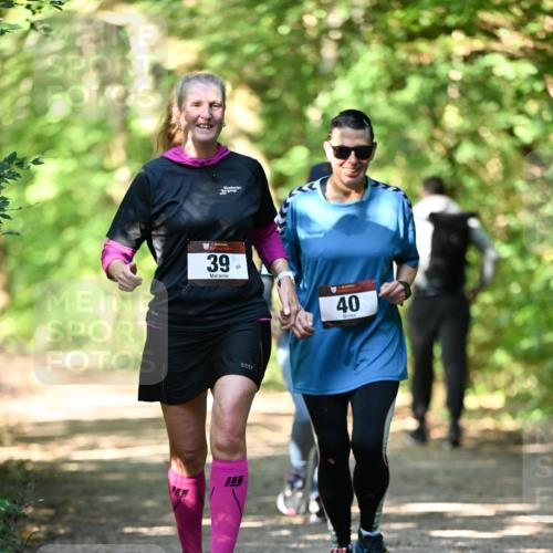 06.10.2024 - Bramfelder Halbmarathon 2024 Dr. Thomas Lammeyer http://msf.ph/oto/7339788 06.10.2024 10:37:28 Laufen 39, 59, 40 meine-sportfotos.de