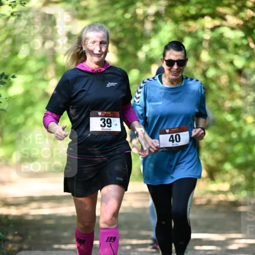 06.10.2024 - Bramfelder Halbmarathon 2024 Dr. Thomas Lammeyer http://msf.ph/oto/7339794 06.10.2024 10:37:29 Laufen 2017, 39, 59, 40 meine-sportfotos.de