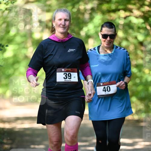 06.10.2024 - Bramfelder Halbmarathon 2024 Dr. Thomas Lammeyer http://msf.ph/oto/7339799 06.10.2024 10:37:30 Laufen 2017, 33, 39, 59, 40 meine-sportfotos.de