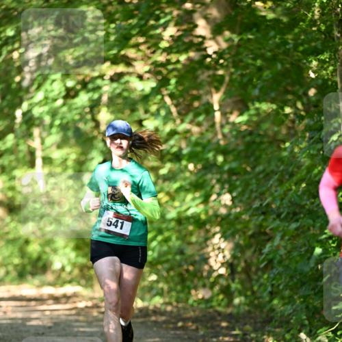 06.10.2024 - Bramfelder Halbmarathon 2024 Dr. Thomas Lammeyer http://msf.ph/oto/7339857 06.10.2024 10:39:12 Laufen 541 meine-sportfotos.de