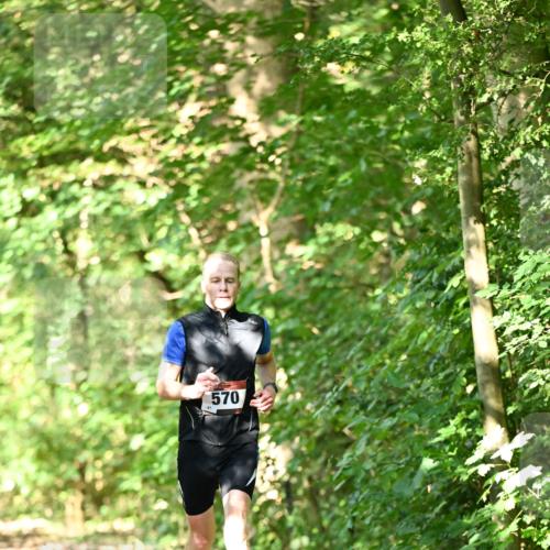 06.10.2024 - Bramfelder Halbmarathon 2024 Dr. Thomas Lammeyer http://msf.ph/oto/7339874 06.10.2024 10:39:39 Laufen 570 meine-sportfotos.de