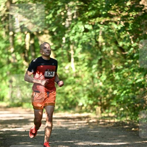 06.10.2024 - Bramfelder Halbmarathon 2024 Dr. Thomas Lammeyer http://msf.ph/oto/7339895 06.10.2024 10:40:09 Laufen 134 meine-sportfotos.de
