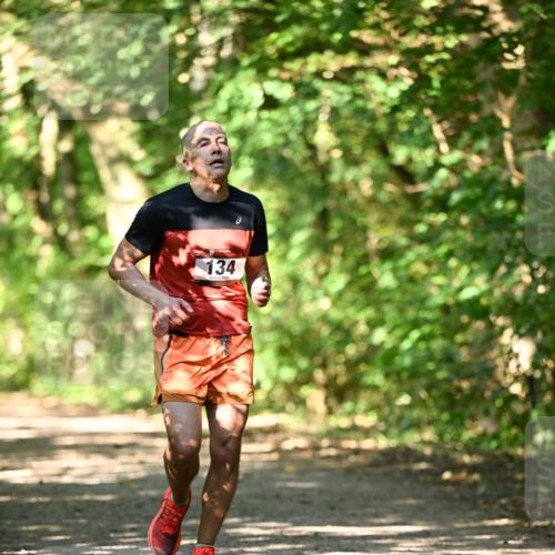 06.10.2024 - Bramfelder Halbmarathon 2024 Dr. Thomas Lammeyer http://msf.ph/oto/7339901 06.10.2024 10:40:10 Laufen 134 meine-sportfotos.de