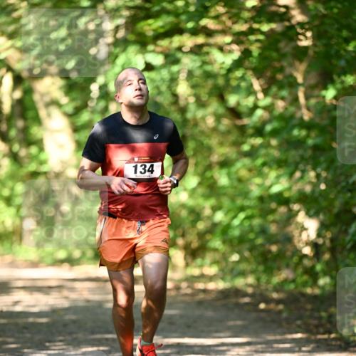06.10.2024 - Bramfelder Halbmarathon 2024 Dr. Thomas Lammeyer http://msf.ph/oto/7339904 06.10.2024 10:40:10 Laufen 134 meine-sportfotos.de