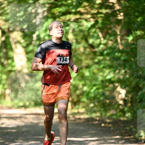 06.10.2024 - Bramfelder Halbmarathon 2024 Dr. Thomas Lammeyer http://msf.ph/oto/7339905 06.10.2024 10:40:10 Laufen 134 meine-sportfotos.de