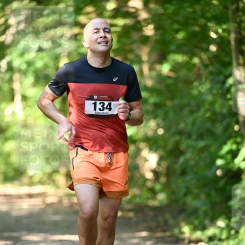 06.10.2024 - Bramfelder Halbmarathon 2024 Dr. Thomas Lammeyer http://msf.ph/oto/7339912 06.10.2024 10:40:11 Laufen 134 meine-sportfotos.de