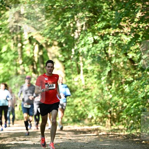 06.10.2024 - Bramfelder Halbmarathon 2024 Dr. Thomas Lammeyer http://msf.ph/oto/7339920 06.10.2024 10:40:19 Laufen 548 meine-sportfotos.de