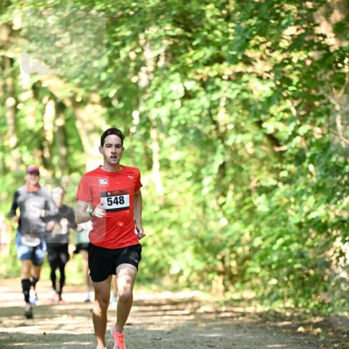 06.10.2024 - Bramfelder Halbmarathon 2024 Dr. Thomas Lammeyer http://msf.ph/oto/7339925 06.10.2024 10:40:19 Laufen 548 meine-sportfotos.de